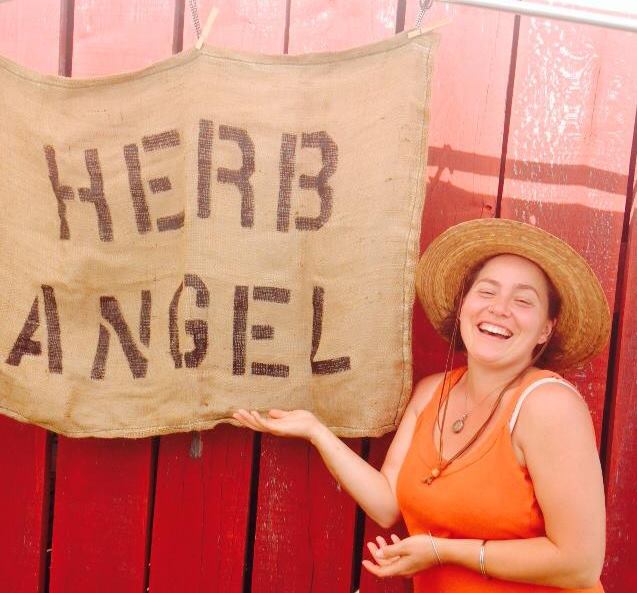 herb angel